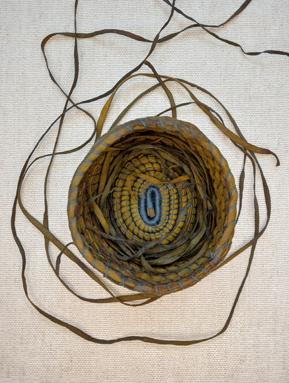 Wild Basketry: COILING