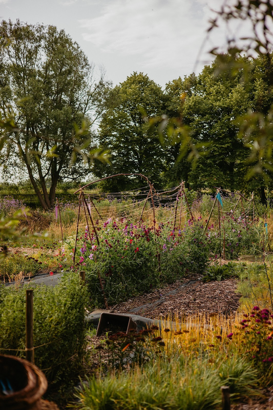 SEIZOENSABONNEMENT '26 (incl. gratis plukken tot eind '25)