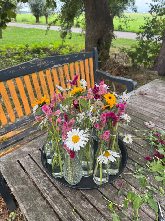 (Geannuleerd) Moederdag special: Lino printen & Lenteboeket plukken