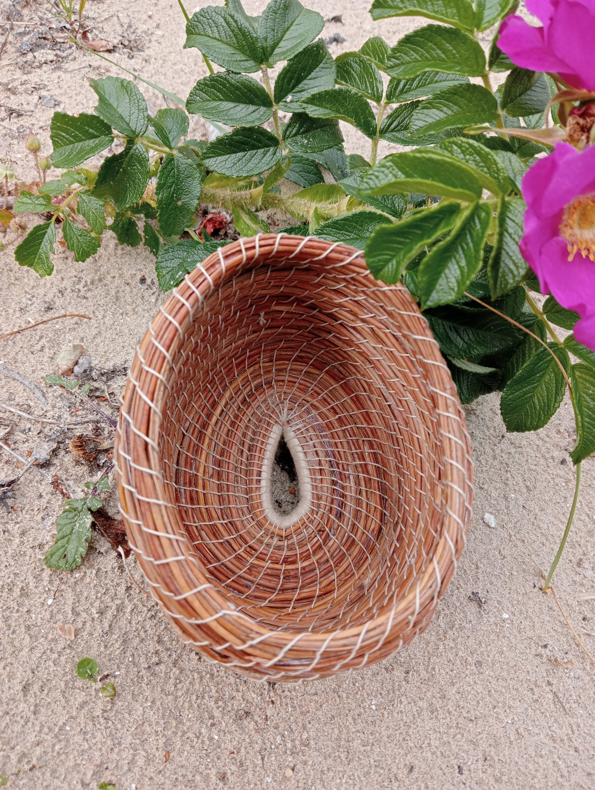 Wild Basketry: COILING