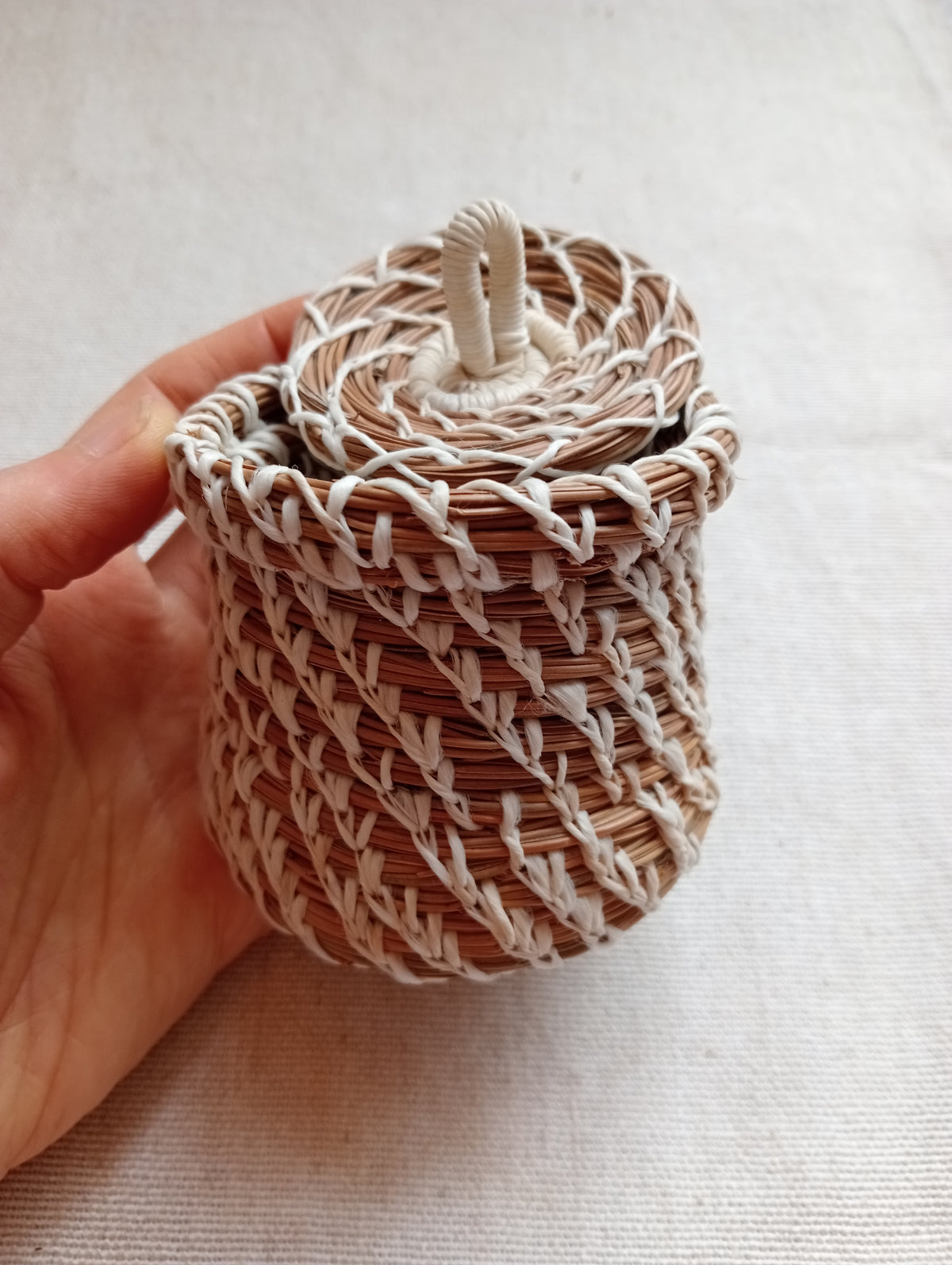 Wild Basketry: COILING