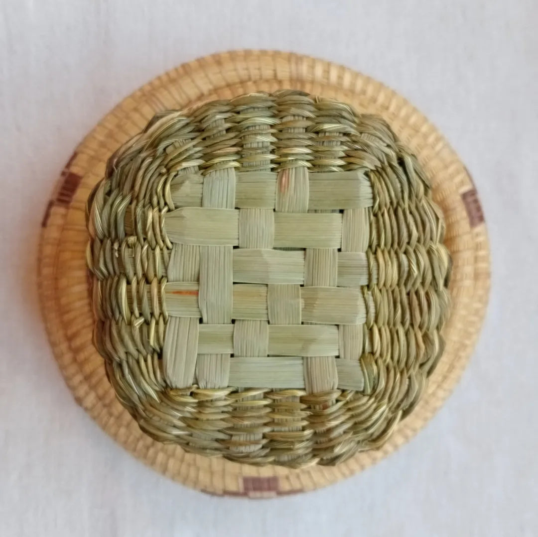 Wild Basketry: TWINING