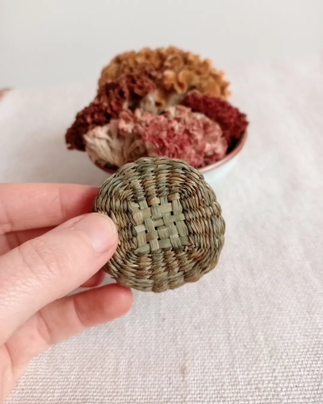 Wild Basketry: TWINING