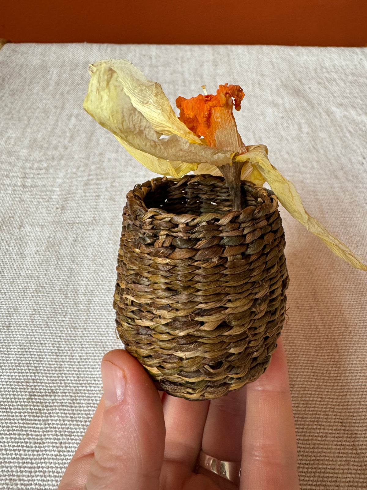 Wild Basketry: TWINING