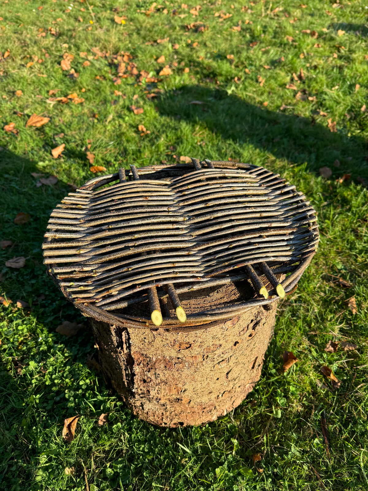 Wild Basketry: STAKES & WEAVERS
