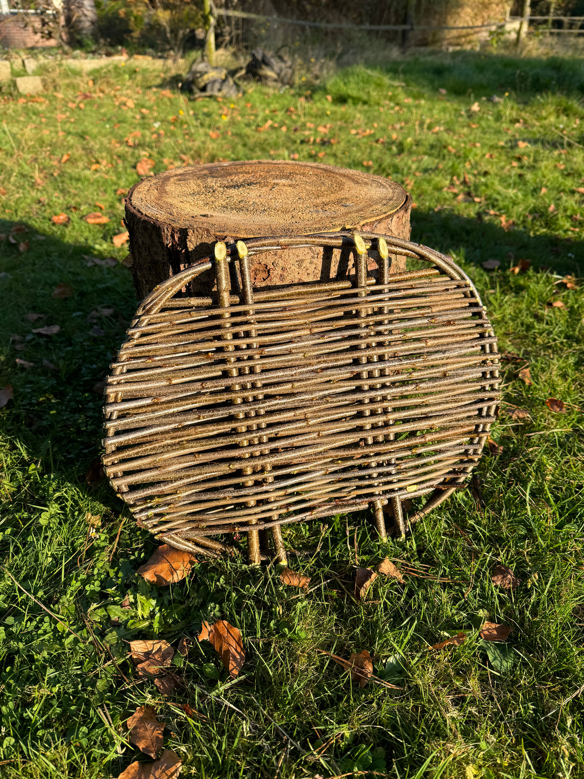 Wild Basketry: STAKES & WEAVERS