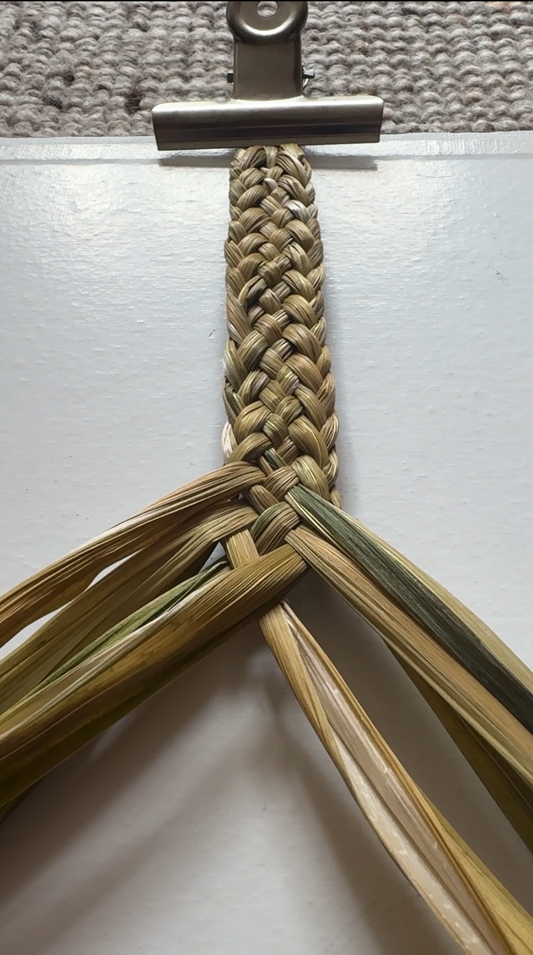 Wild Basketry serie: Plaiting