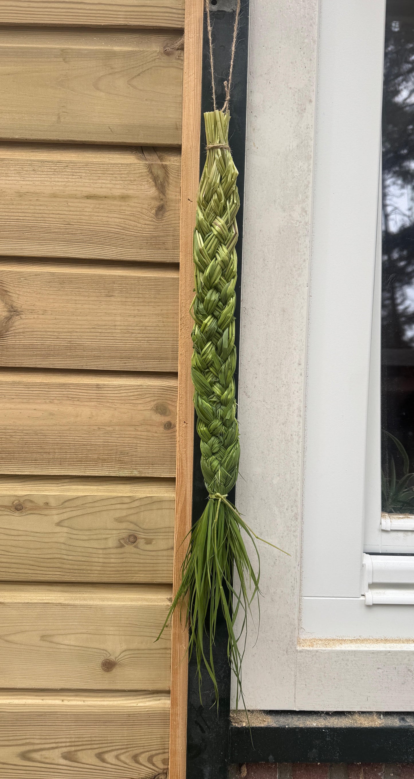 Wild Basketry serie: Plaiting